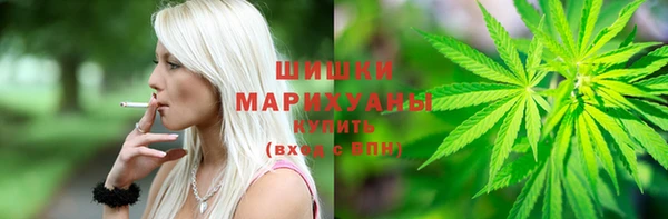 крисы Белокуриха