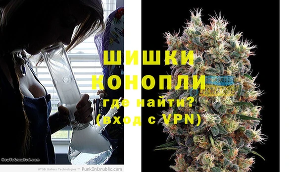 крисы Белокуриха