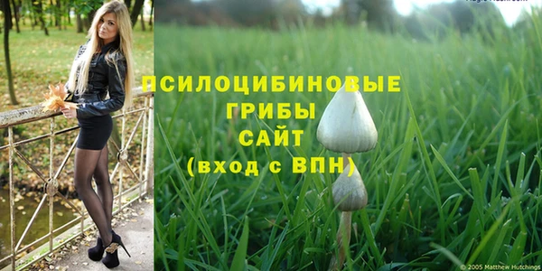 дживик Беломорск