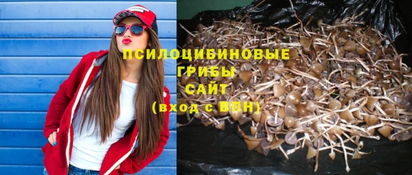 крисы Белокуриха