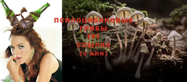 дживик Беломорск