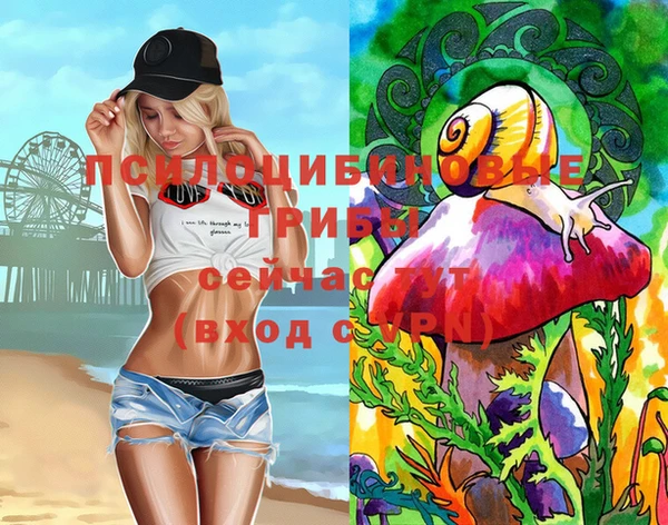 дживик Беломорск