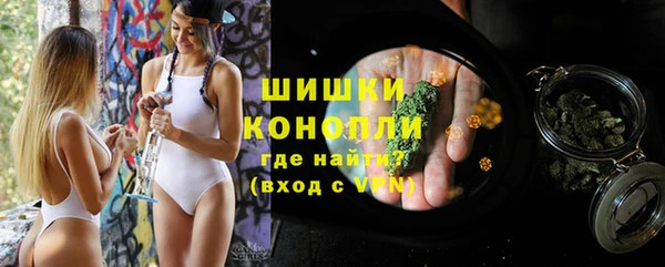 крисы Белокуриха